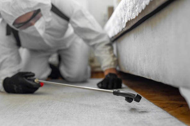 Professional Bed Bug Control technician working in Nanawale Estates, HI