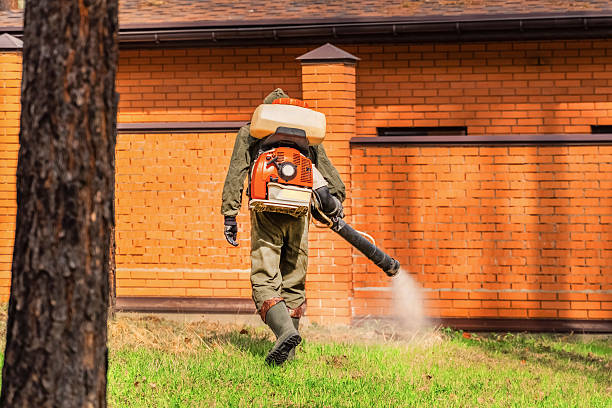 Trusted Ant Control service in Nanawale Estates, HI - Nex Pest Control